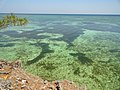 Pantai Liang Kareta di Pulau Pasi