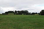 Thumbnail for File:Pasture between Kloster and Grieben on Hiddensee 2021-09-17 42.jpg