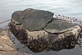 Rinkusteinar, the Rocking Stones. A chain indicating, that they really rock.