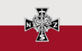 National Armed Forces (NSZ)