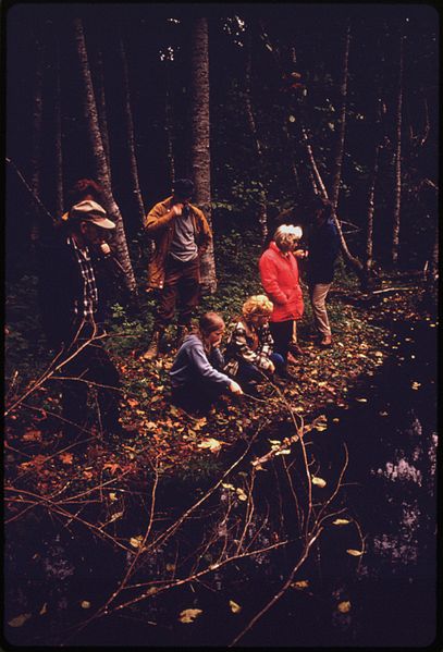 File:KITSAP COUNTY AUDUBON SOCIETY MEMBERS ON A FIELD TRIP. THEY ARE IDENTIFYING THE FAUNA AND FLORA ON A SMALL PIECE OF... - NARA - 557005.jpg