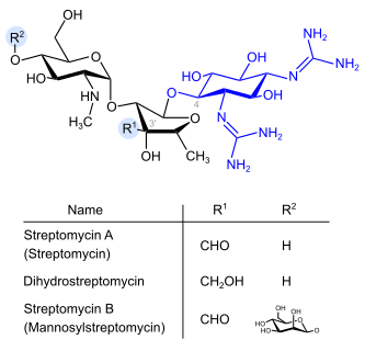 Strepotomycine (blau: Streptidinstruktur)