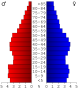 USA Laurens County, Georgia age pyramid.svg