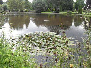 Visvijver aan de Baansteen