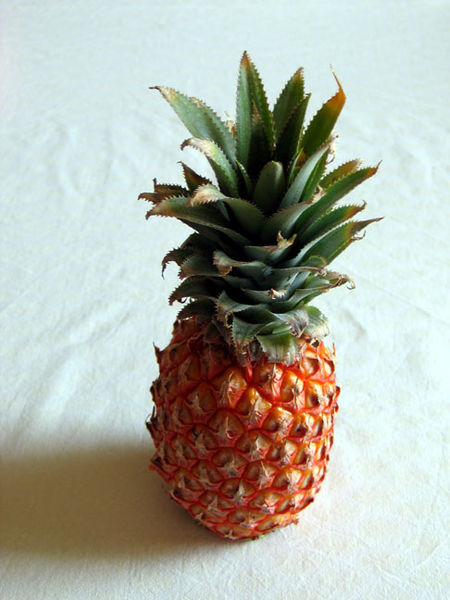 File:Ananas.jpg