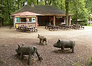 Kiosk with the forest