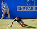 Thumbnail for File:Grigor Dimitrov (14399479416).jpg