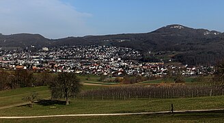 Panorama, Birstal, Aesch, Gempen.jpg