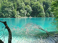 Een meer bij Plitvice