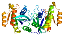 Protein RAB11B PDB 1oiv.png