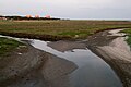 Pril i saltengene ved Sankt Peter-Ording