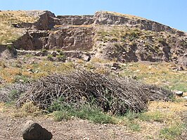 Oylum Höyük