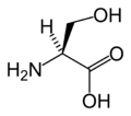 L-Seriini (Ser / S)