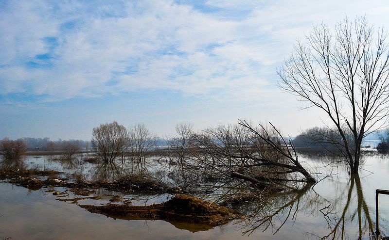 File:River Evros.jpg