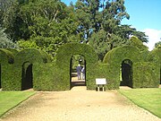 Topiary archways