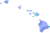 2003 Hawaii's 2nd congressional district special election