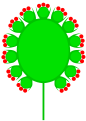 Lolium multiflorum (capitulum compositum)