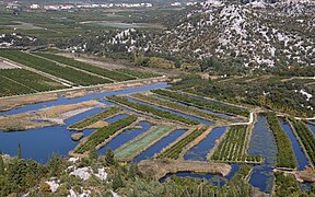 Plantations in the fertile Neretva valley.