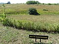 Killing fields at Drobytsky Yar (the sign reads 'Burial place')