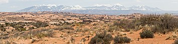 Petrified Dunes in Arches National Park