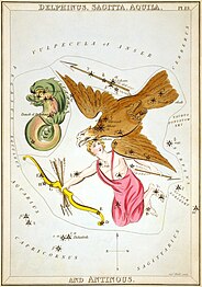 Carta 13: Delphinus, Sagitta, Aquila, i Antinous