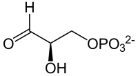 D-Glycerinaldehyd-3-phosphat, Skelettformel.