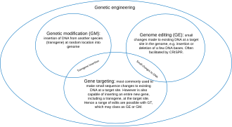 Genetic engineering subtypes.svg