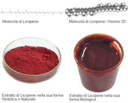 molecola licopene e risultati delle varie lavorazioni