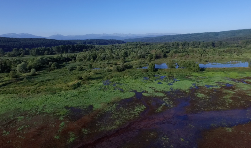 File:Shavarite airview.png