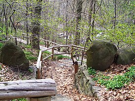 Part of the Abrons Woodland path