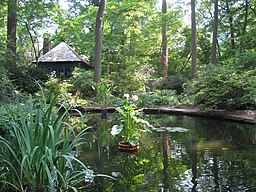 Merion Arboretum