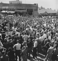 A large group of people, gathered outdoors