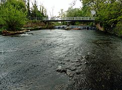 Pfrimm beim Karl-Bittel-Park unterhalb des Pfiffligheimer Wehrs