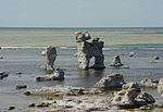 Rauken Kaffepannan på Gotland (Fårö).