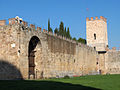 Pisa "Campo di Miracoli" surları