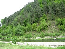 Varbitsa River 01.jpg