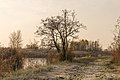 "Winter_in_'It_Wikelslân._Locatie,_De_Alde_Feanen_in_Friesland_01.jpg" by User:Famberhorst