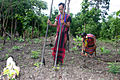 Image 16Brao couple farming (from Culture of Laos)