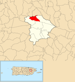 Location of Quebrada Infierno within the municipality of Gurabo shown in red