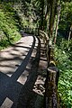 * Nomination: Waterfall Trail (Promenade) in Meiji no Mori Minō Quasi-National Park. --Laitche 00:21, 9 October 2024 (UTC) * * Review needed