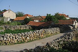 Žedno