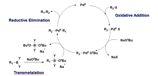 Suzuki coupling reaction