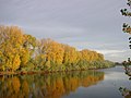 Biedensand am Altrheinarm bei Lampertheim