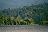 Danau Lindu lake in Lore Lindu National Park, Central Sulawesi, Indonesia