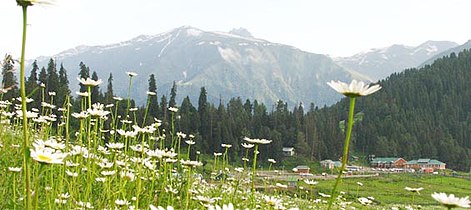 Kashmir Valley in summer.