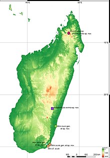 Map of Madagascar, with green circle in the bottom right showing Mini mum's range