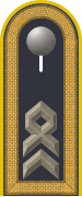 Dienstgradabzeichen auf der Schulterklappe der Jacke des Dienstanzuges für Luftwaffenuniformträger.