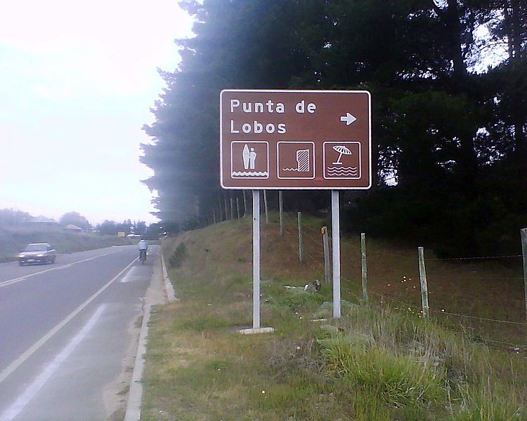 File:Punta de Lobos.jpg