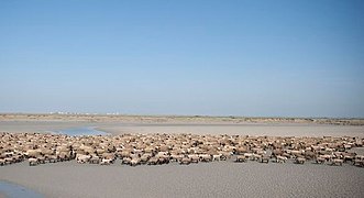 Baie de Somme en Picardie