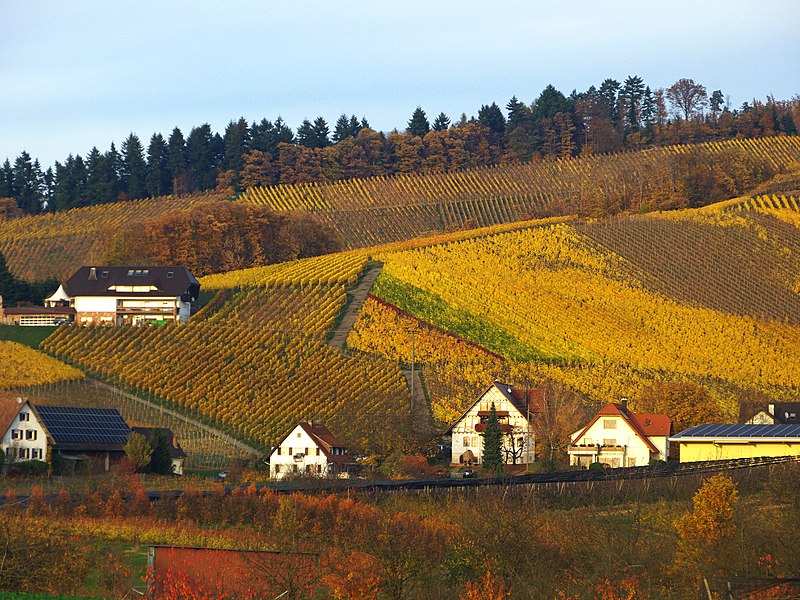 File:Wyn - panoramio.jpg